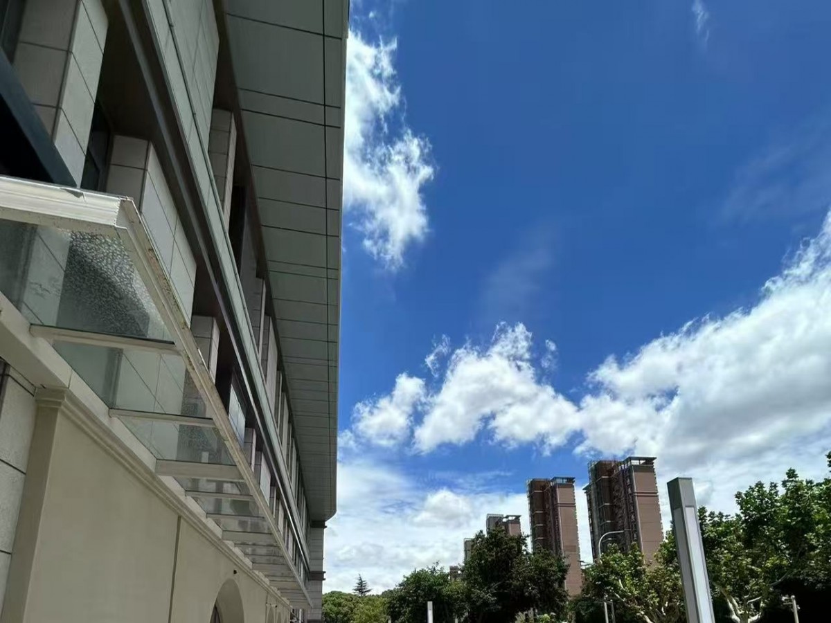 如果没有办法解封Instagram账号，可以使用什么社媒替代方案？